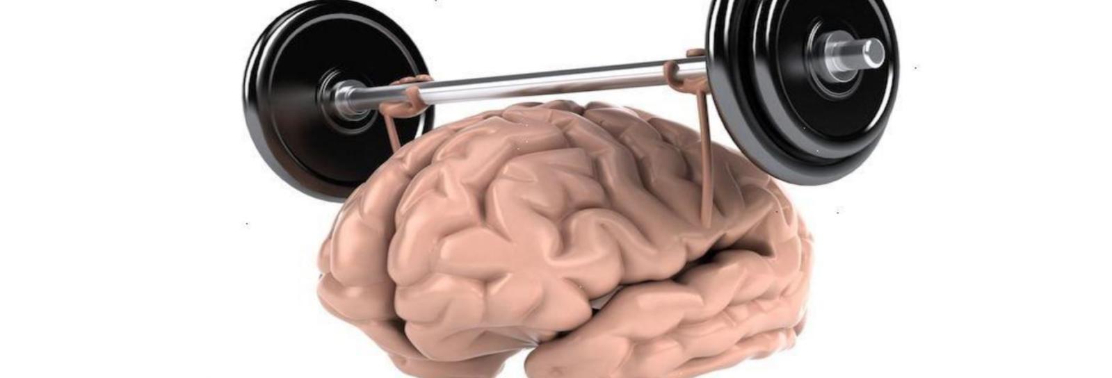 Generisk billede af en hjerne som løfter en vægtstang